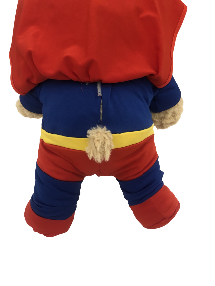Image Déguisement de super héros