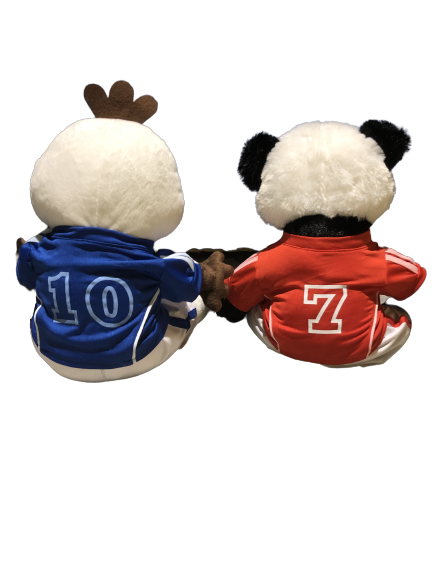 Image Tenue footballeur pour peluche