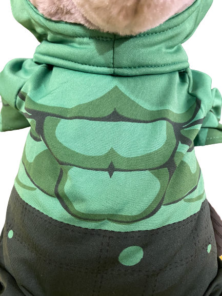 Image Déguisement Hulk pour peluche