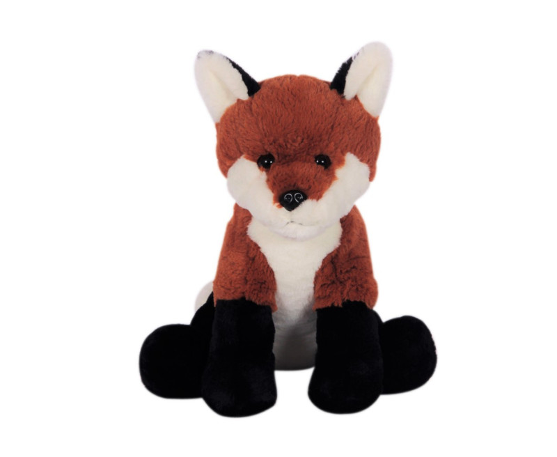 Image de Foxy le renard