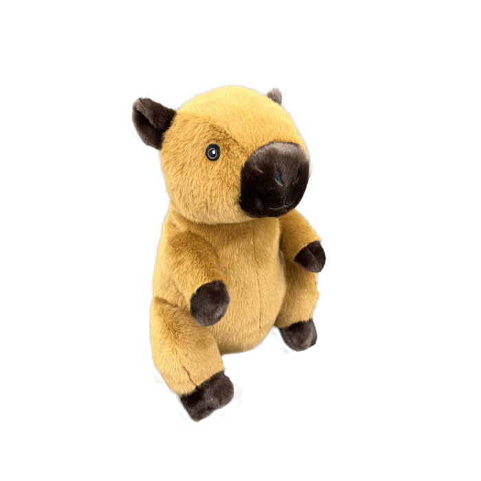 Image de Neil le capybara