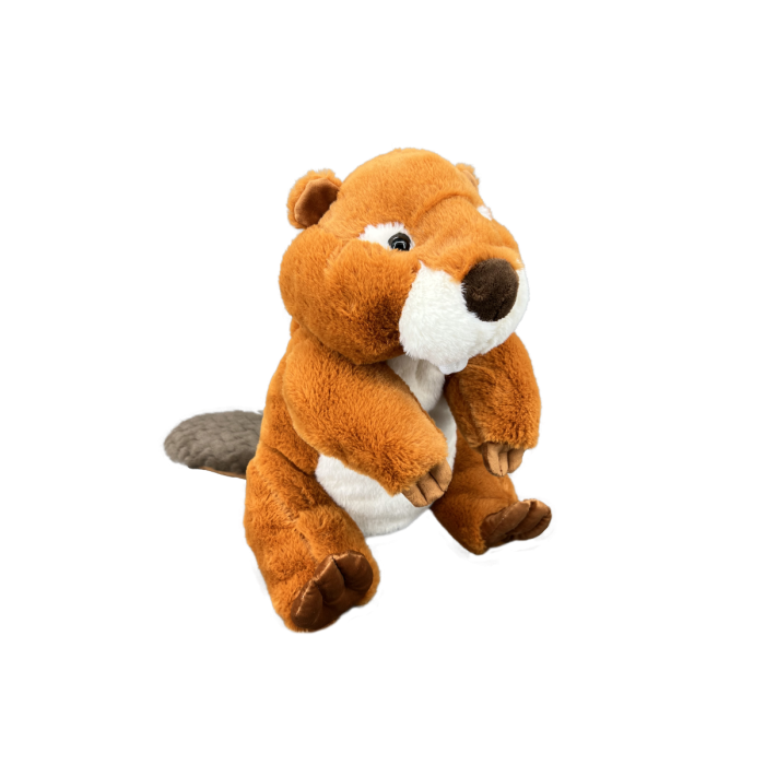 Image de Nestor le castor